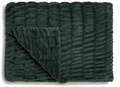 Evergreen Frost